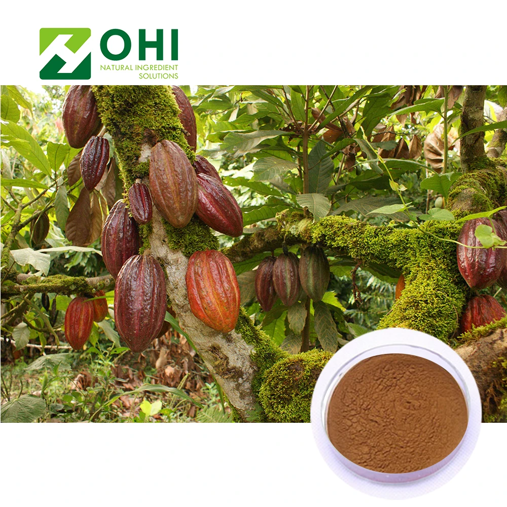 High Quality Cocoa Extract/Raw Organic Cocoa Powder/Black Cocoa Powder