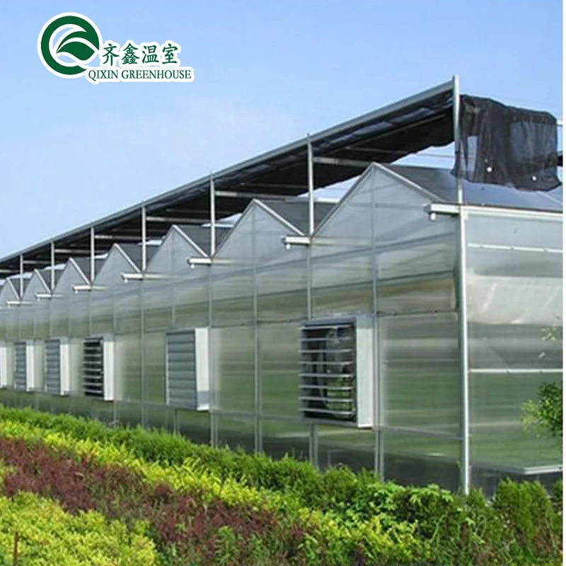 High quality hydroponics fodder growing systems pc sheet green house