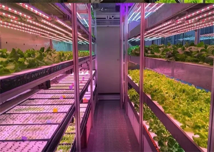 Red and Blue T8 28W Tube Grow Lamp 4ft 1.2m LED Plant Grow Light for Indoor Plant Growth