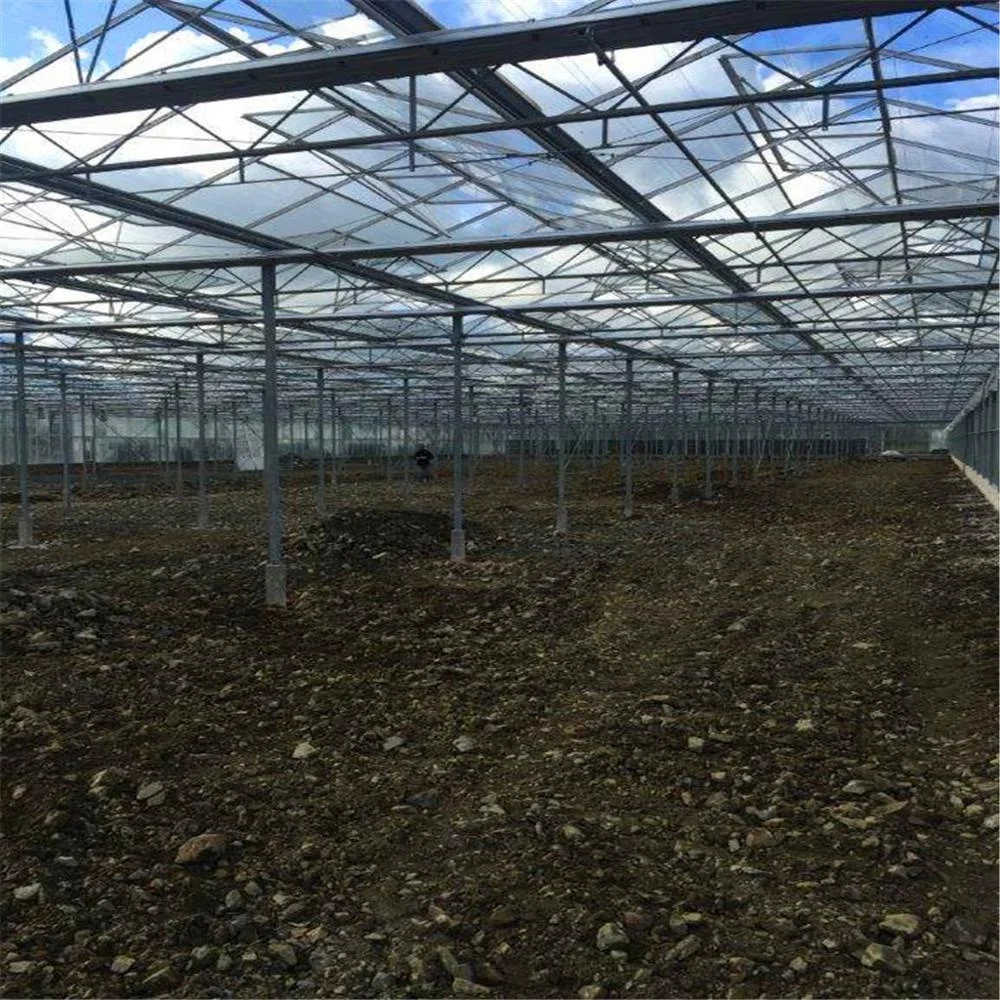 
Natural vents aluminium framing sequoia orchids growing seedling poly tunnel greenhouse steel frame tunnel 