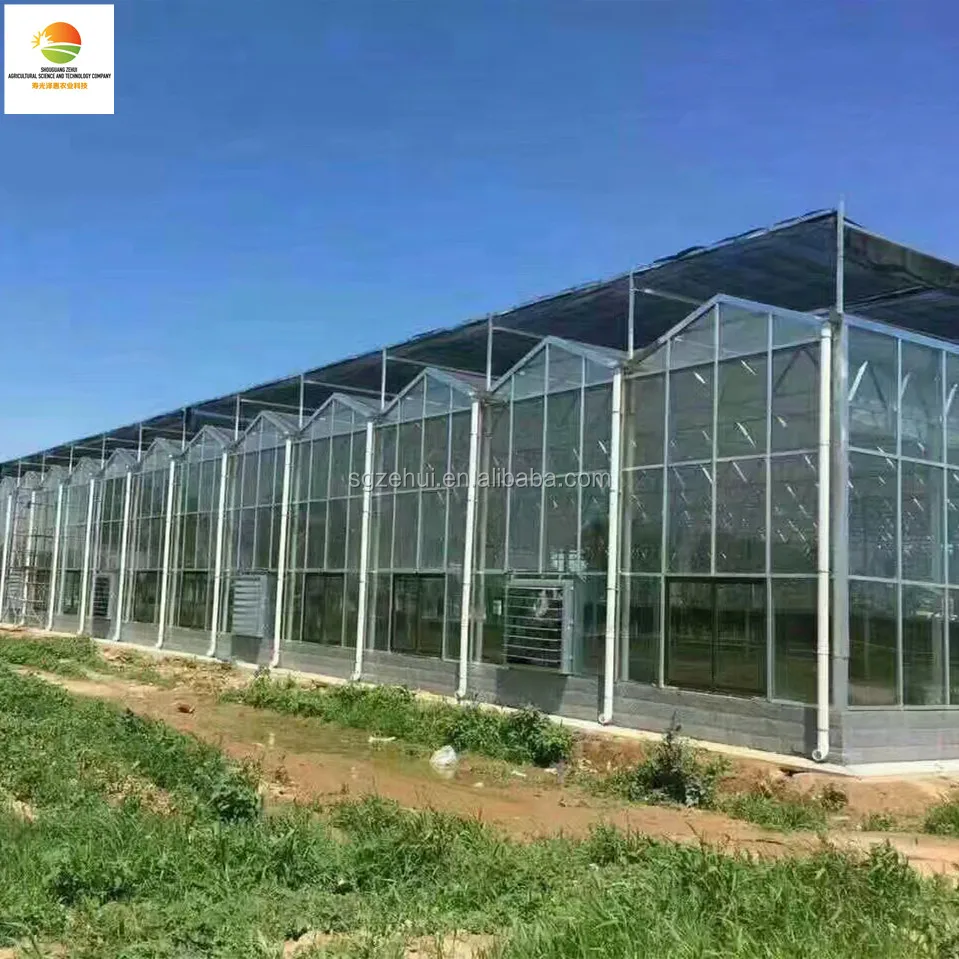 Multi-span intelligent commercial glass greenhouse