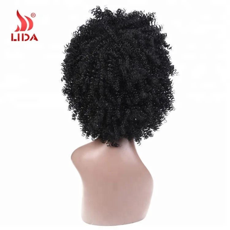 Lida Long Nature Wave Synthetic curls braids Wigs #2/33 Black braiding bouncy curly Hair 6572 wig