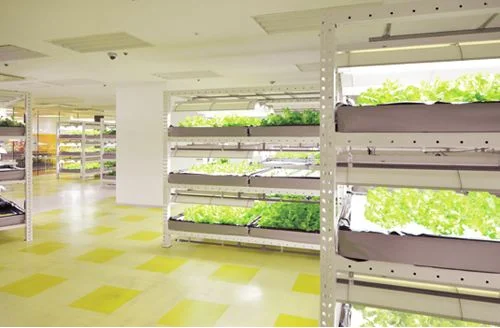 China professional factory epistar chip reverse mount chip datasheet 0.2w 2835 red light smd led