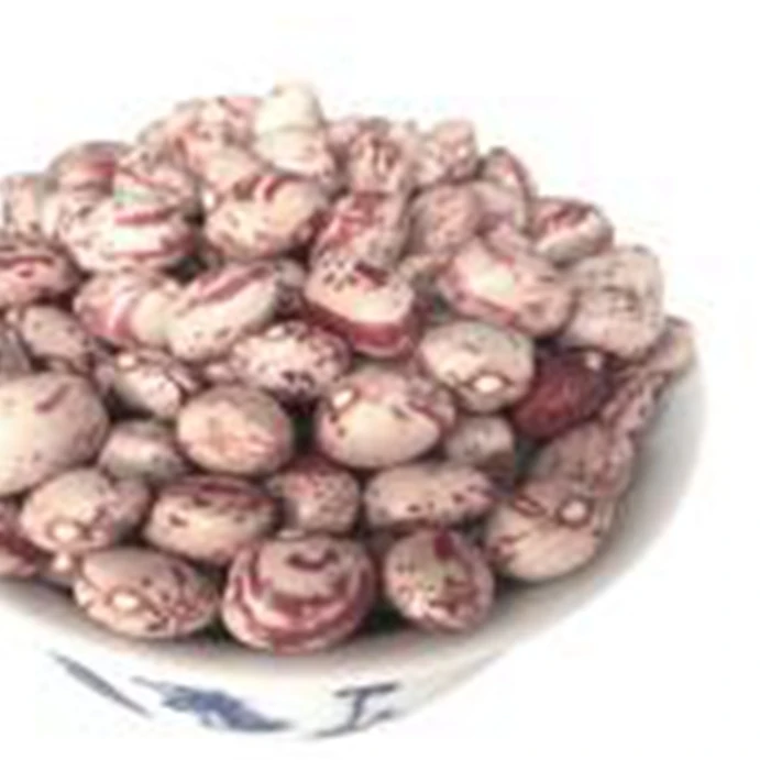 Лидер продаж, высокое качество, индивидуальная оптовая продажа бобов pinto bean