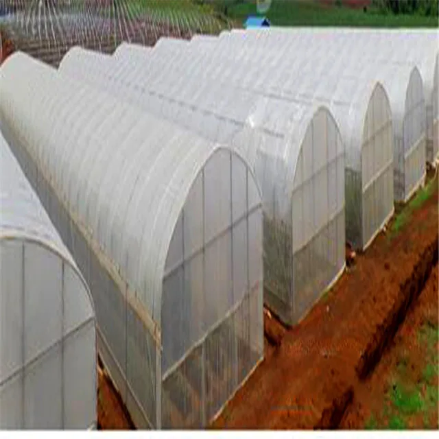 Single tunnel greenhouse for large scale growth
