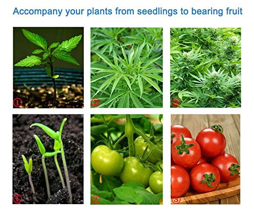 China professional factory epistar chip reverse mount chip datasheet 0.2w 2835 red light smd led