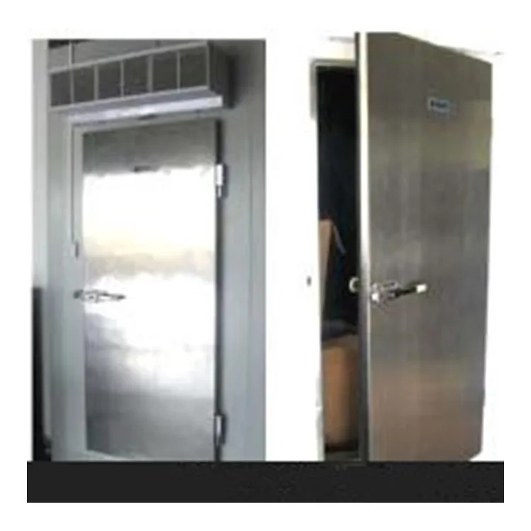Hot Sale cold storage room freezer chambre froide Stainless Steel SUS 304 Free Hinges Swing Flexible door price