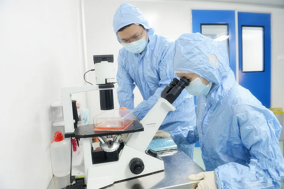 
Compound Ketoconazole Ointment pet medicine 