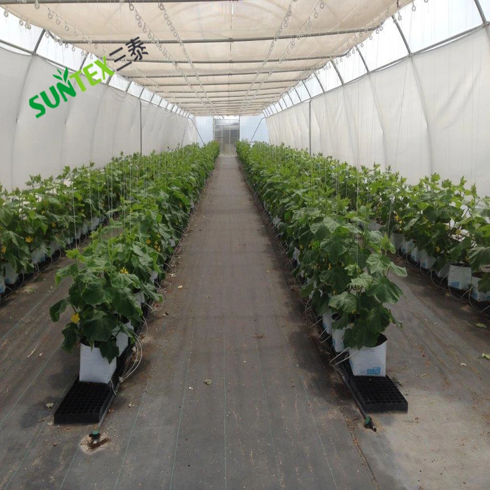 UV Protection Clear Woven Greenhouse Film Orchards Plants Protective Rains Proof Poly Tarpaulin 12*50M