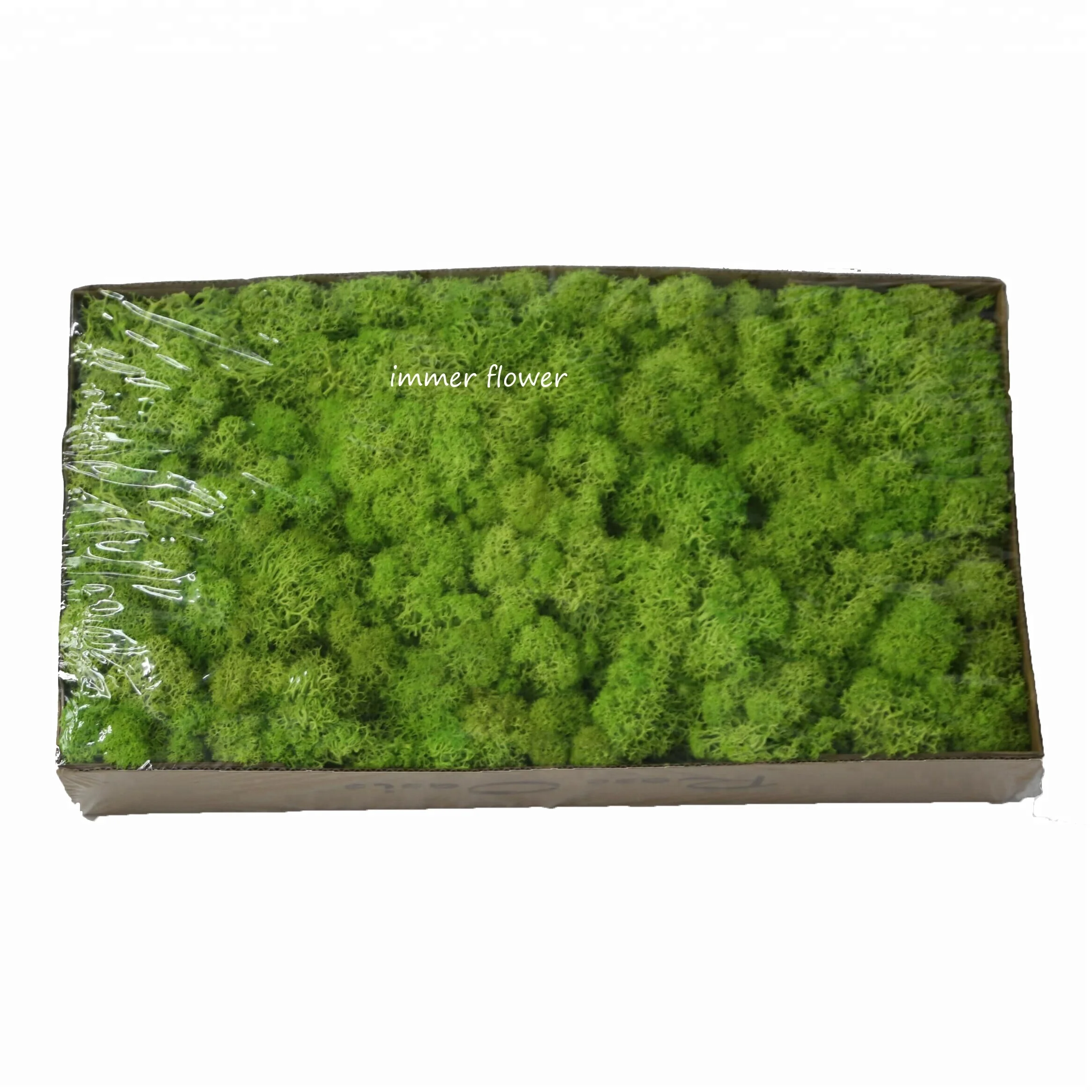 Widely supply green mos preserved moss make moss wall