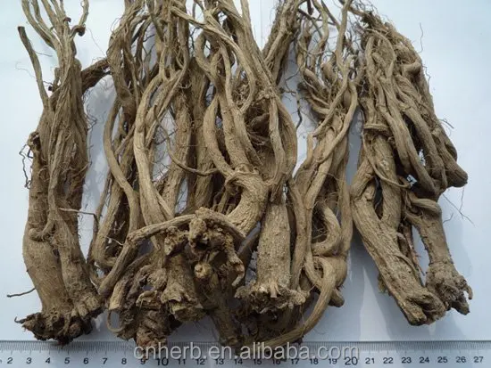 
Dried Echinacea purpurea root Purple coneflower Zizhuiju Songuoju 
