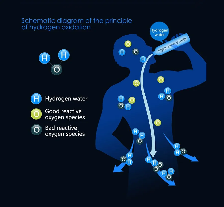 Olansi Easy To Operate kitchen appliances Slimming beauty Portable Alkaline Hydrogen Water Bottle