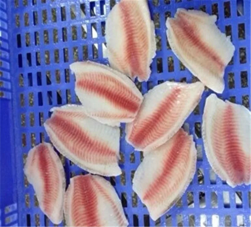 
tilapia fillet frozen 