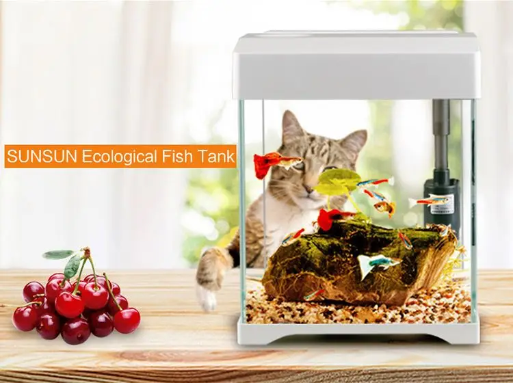 Wholesale Home Decoration Fish Breeding Tank Mini Glass Tank Fish Aquarium Ecological Aquarium Accessories