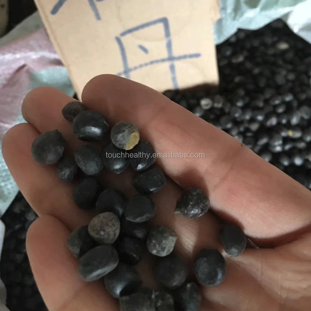 2021 семян пиона разных цветов для посадки 500 грамм/пакет