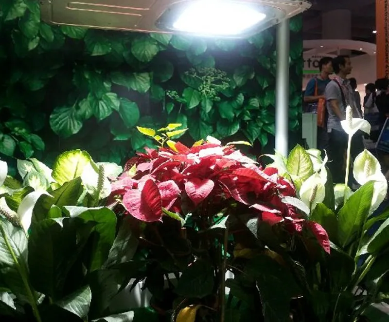 
40w-300w plant growth Induction Grow Light 