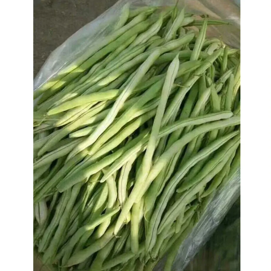 
vegetable seeds kidney beans seeds 