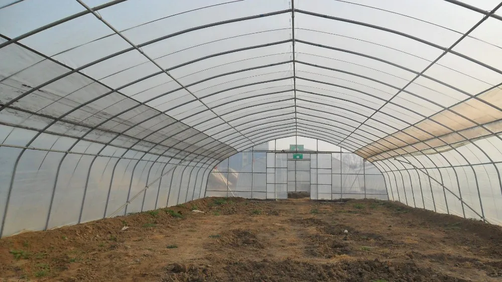Low Factory Price Single-Span Tunnel  Plastic  Film Greenhouse for Hydroponics and Fruit Planting