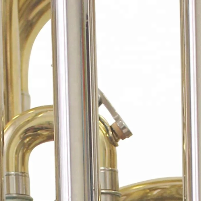 
Accept OEM Dasheng Music DSTU-511 Bb Tuba 
