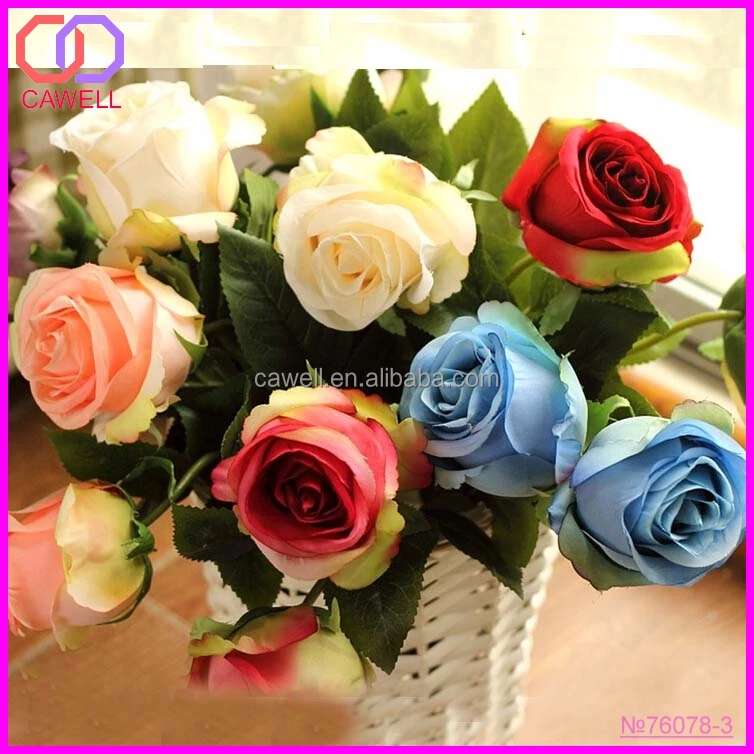 china wholesale fresh cut black rose flower