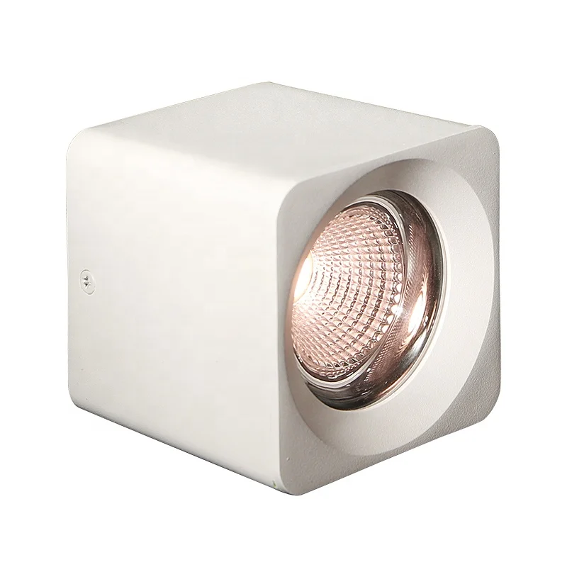 High Quality 10W 20W 30W 40W 45W Square Surface Mounted Led Downlight IP67 For Coffee Shop Lighting