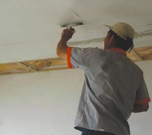 wood fibre factory / lignocellulose / construction application wood fiber cellouse fiber