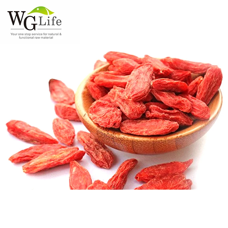 Factory direct supply wolfberry goji berry powder Plant Extract