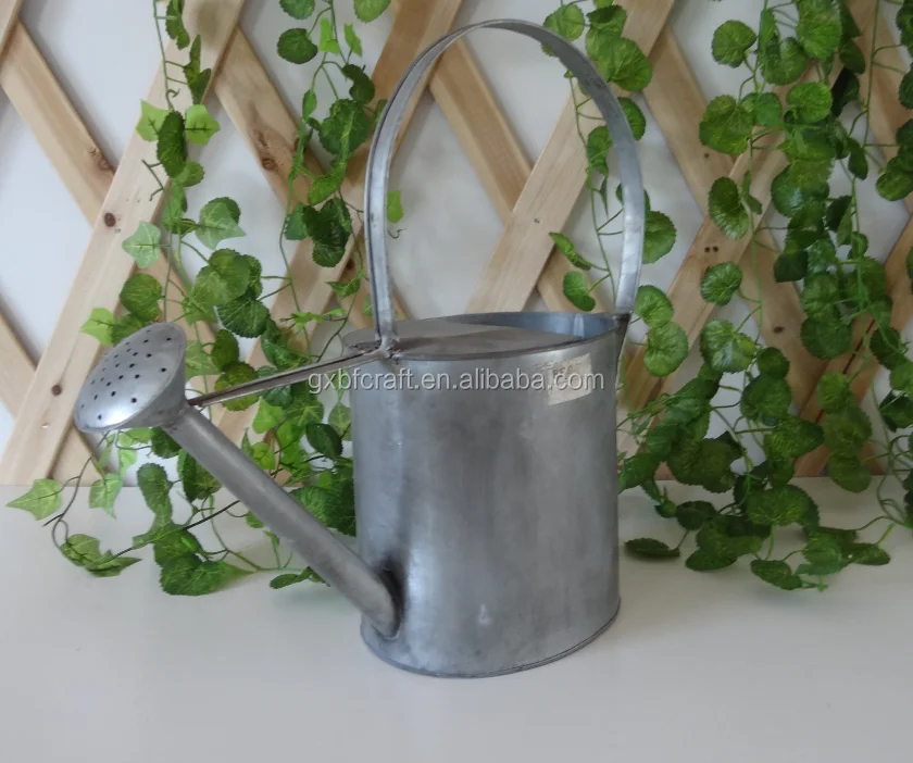 Оптовая продажа, Королевский декоративный садовый набор для детей, цинковая банка для полива и маленькие золотые цветочные горшки