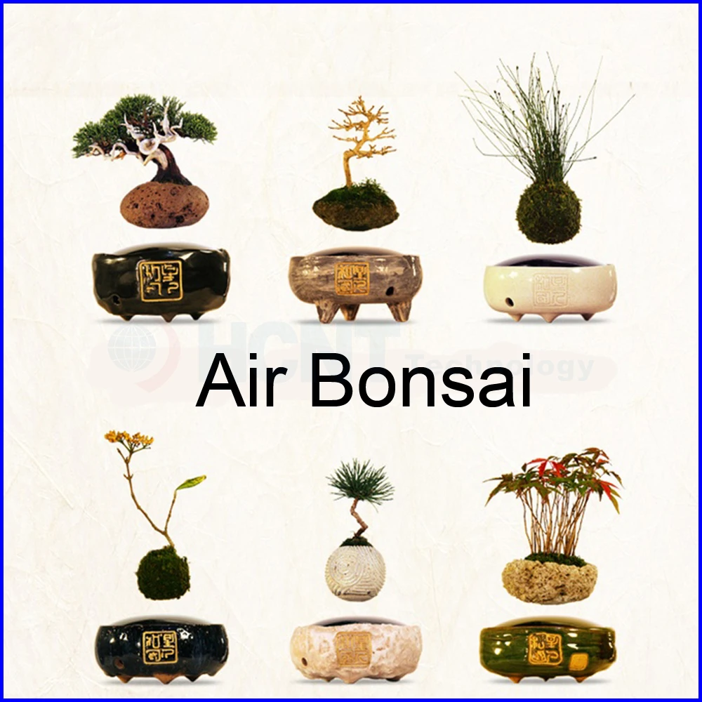 Парящий система для плавающей бонсай завод горшок и летать цветок