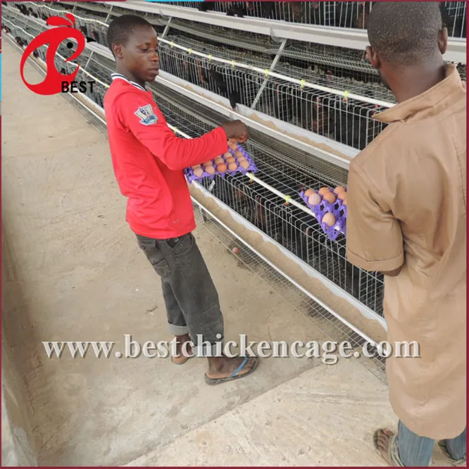 Brand new manufactures bird cages galvanization hot galvanized chicken cage for wholesales