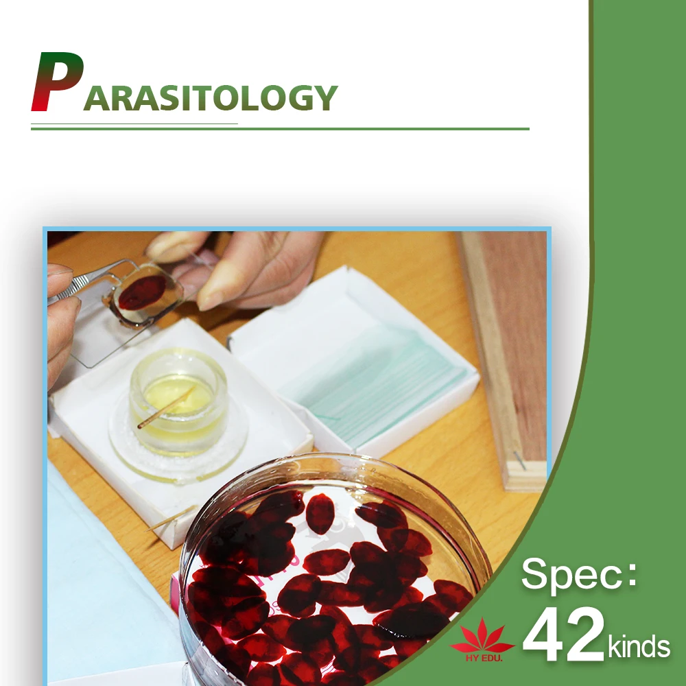 Fixed set University students study 78pieces medical parasite prepared microscope slides