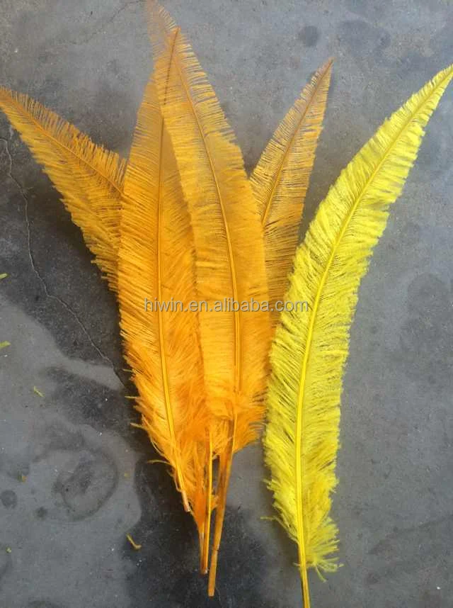 Trimmed Ostrich Feather