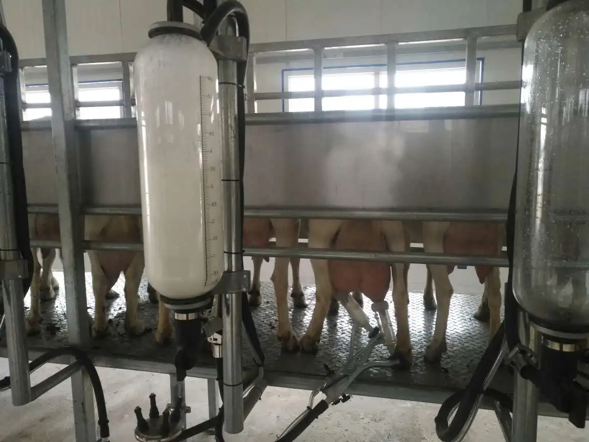 KLN 9JY Type Goat Automatic Milking Parlour Equipment
