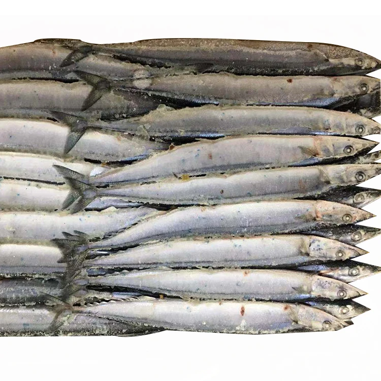 
2021 new Wholesale frozen seafood whole pacific saury price for sale frozen pacific saury w/r 