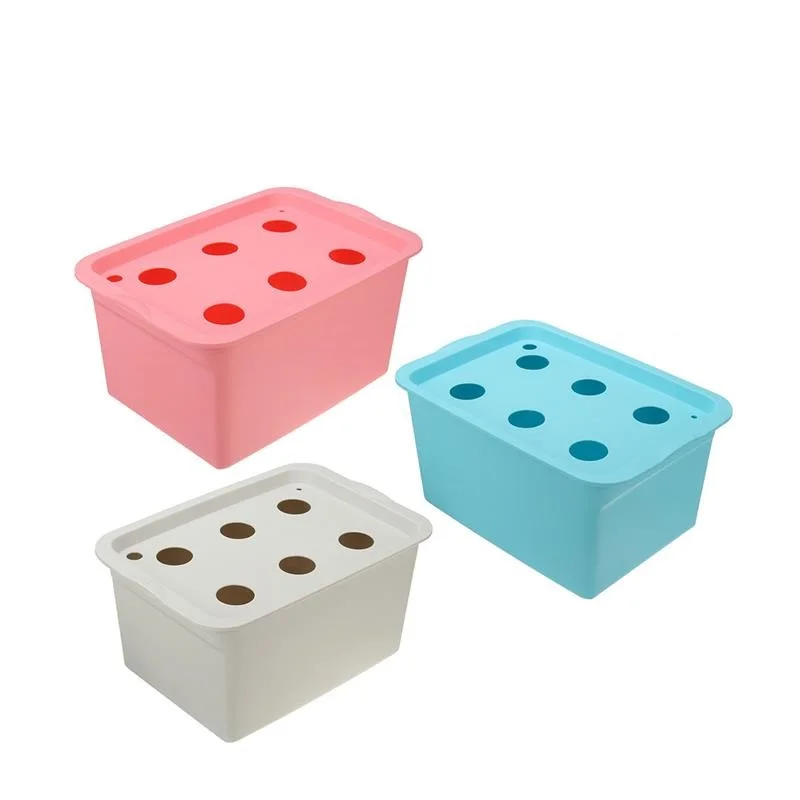 
Water Culture Seedling Boxes Soilless Cultivation Planting Boxes Hydroponic Grow Kit 