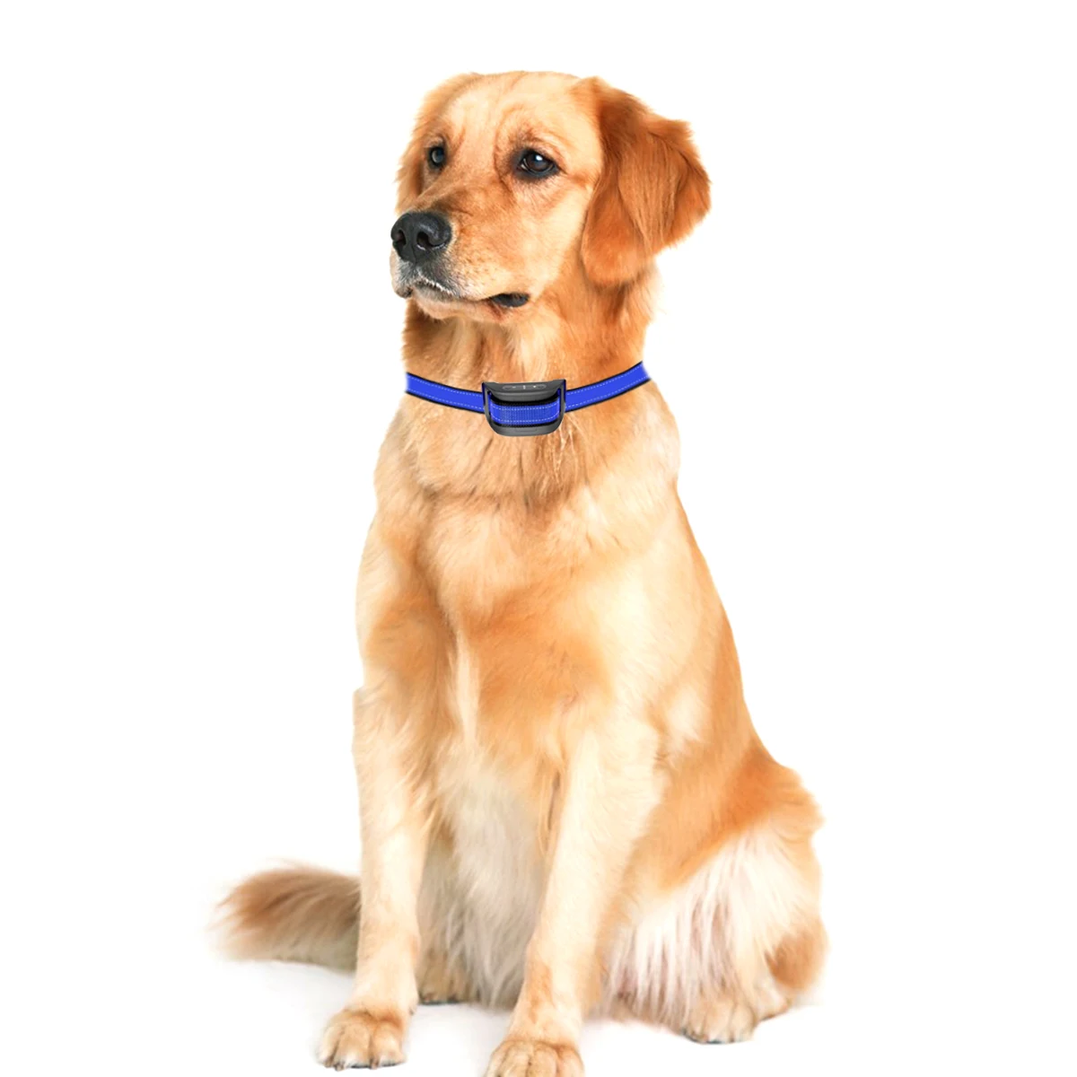 
Tize Hot US Amazon No Shock Stop Dog No Anti-bark Anti Bark Collar For Dog 