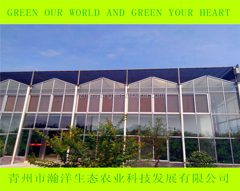 PC sheet steel structure frame house polycarbonate greenhouse with hydroponic system