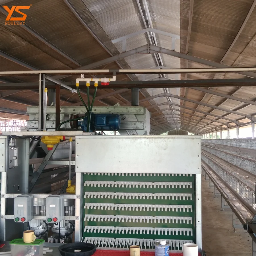 Automatic A Type Chicken Cage for 10000 Layer/Broiler/Pullet Chicken