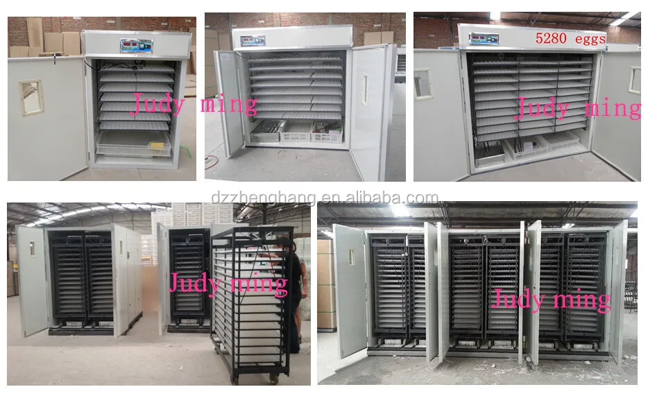 incubator for chicken eggs ZH-528 used for chicken egg poultry farm best price energy saving Industrial egg incubator