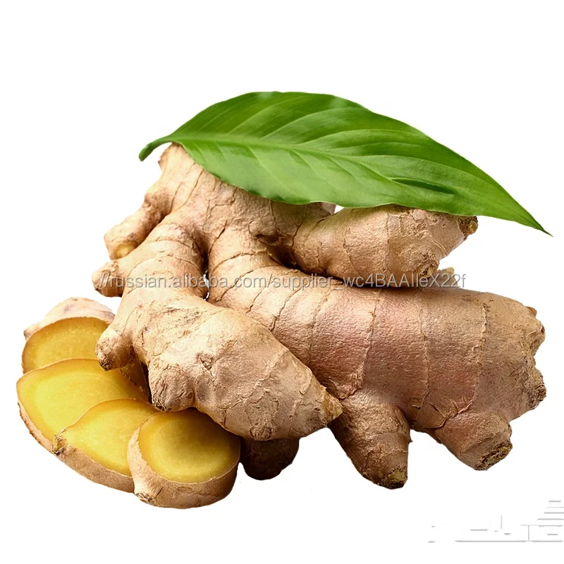 Органический урожай китайский свежий зрелый имбирь оптовая цена 1 кг
