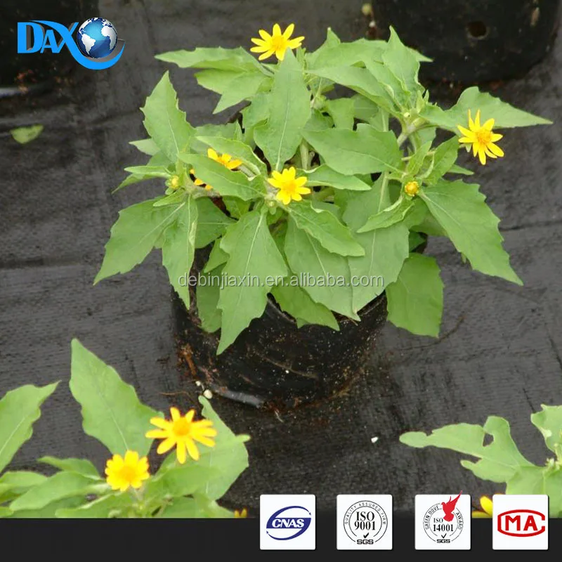 
polypropylene ( pp) slit film woven Weed Control Ground Cover Membrane Landscape Fabric 