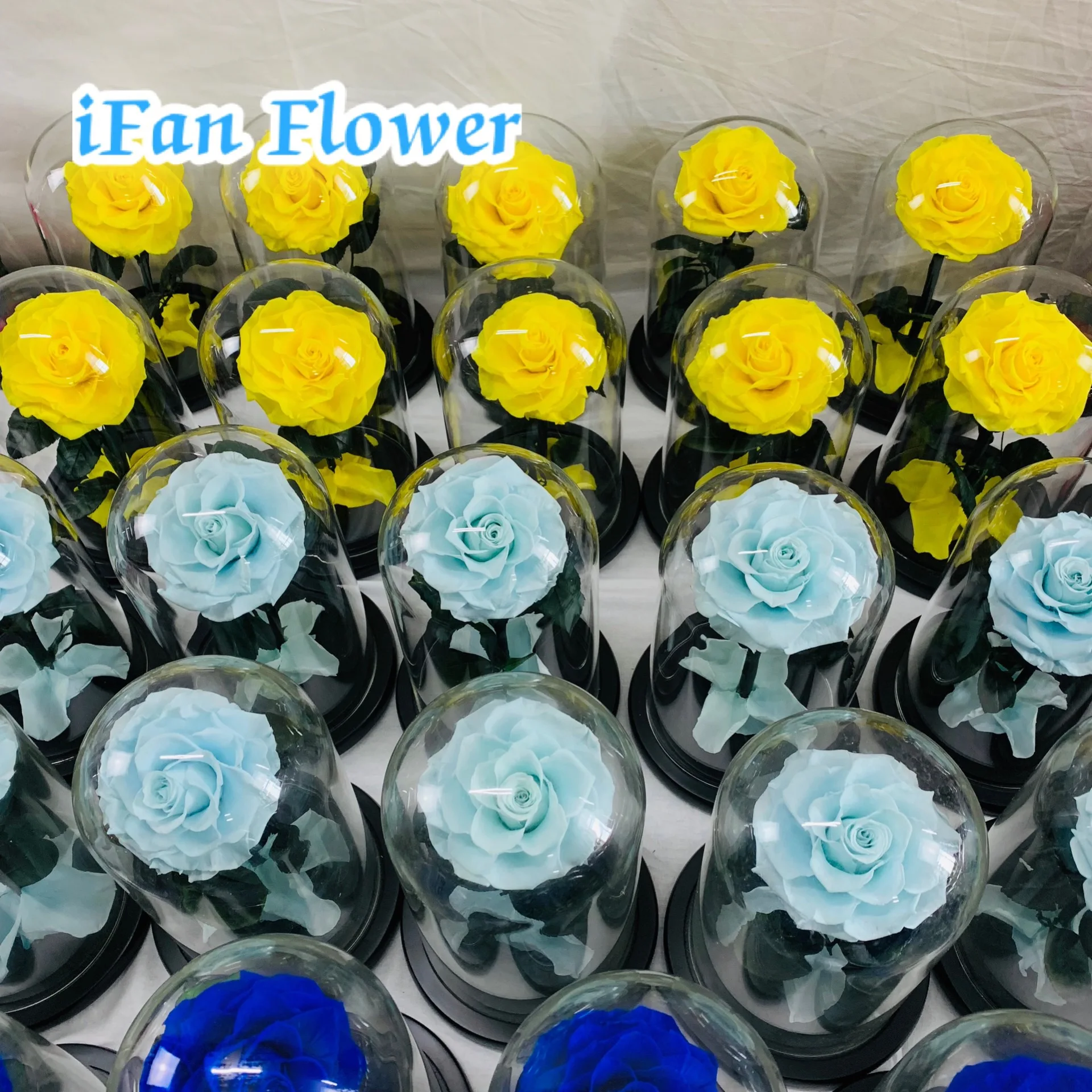 Decorative flowers or dried flowers & real roses in Glass-Factory direct supply or wholesales for Christmas gifts