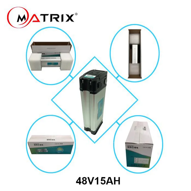 Customized Li Ion Lifepo4 48V 60Ah 40Ah 20Ah Lithium Battery Pack for Electric Bicycle