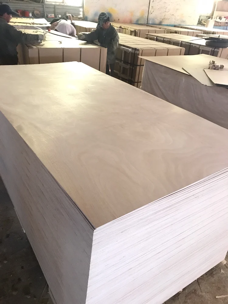 12mm 16mm 18mm flexible plywood basswood  maple red oak timber structural glossy plywood sheet furniture