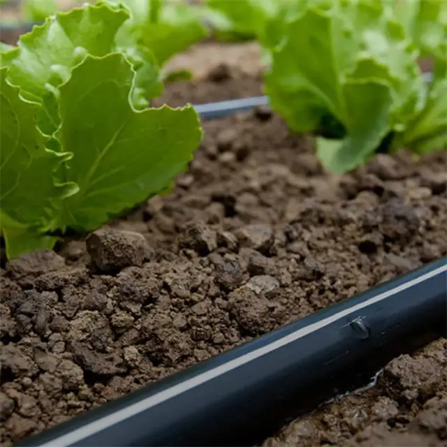 Drip Irrigation System For Greenhouse or Vegetables