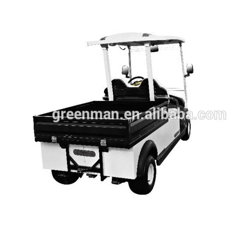 Aluminium 2 seats 310kg electric cargo vehicle