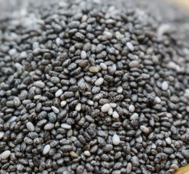 Высококачественные сырые рассыпчатые семена ЧИА Qi ya zi Salvia Hispanica