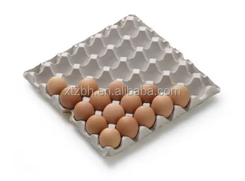 Новый яйцо литье целлюлозно формируя машину высокое качество бумага для яиц плесень / плесень