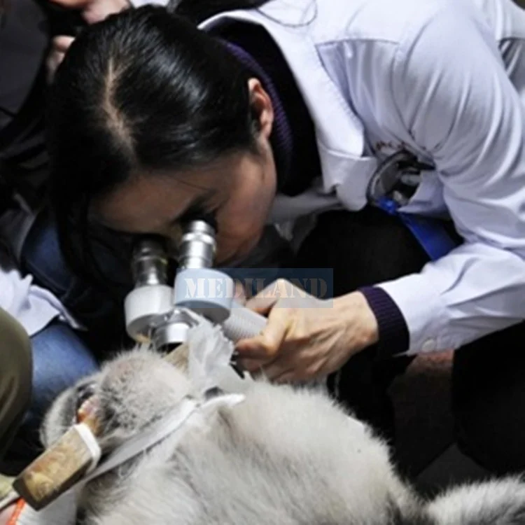 Veterinary tools and equipments ML-V2 Handheld Slit lamp microscope veterinary device LED Portable slit lamp with certifications