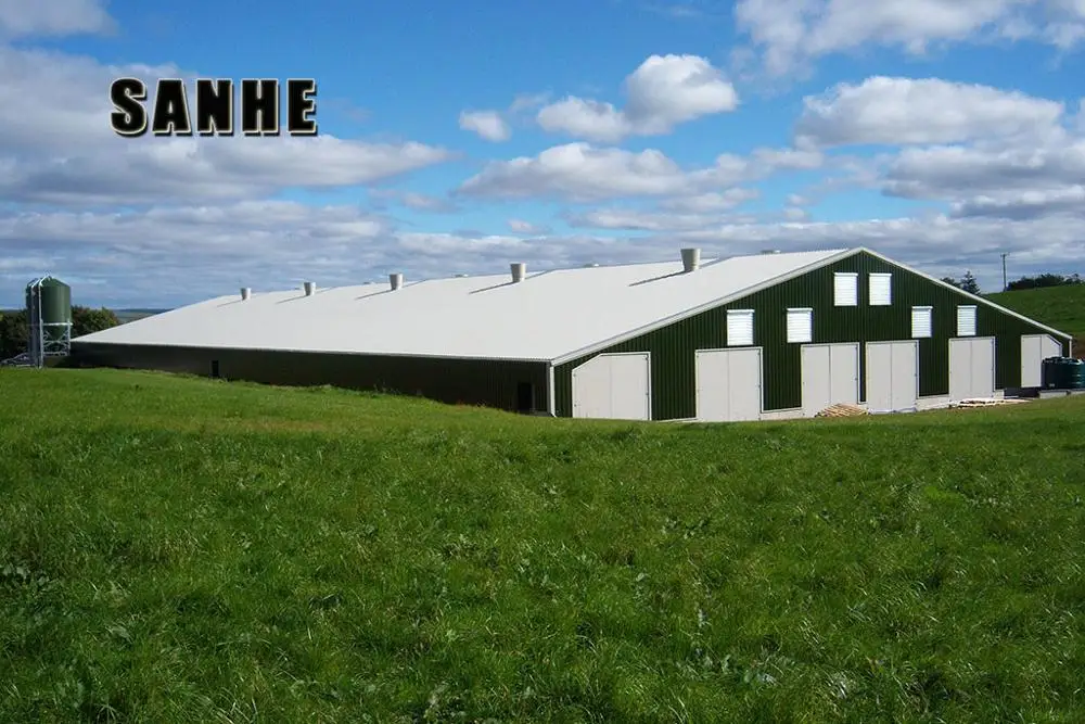 Automatic Broiler House Poultry Shed Design for chicken farm